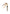 Carhartt Wip Click Keychain laccetto portachiavi - WIP Dusty H