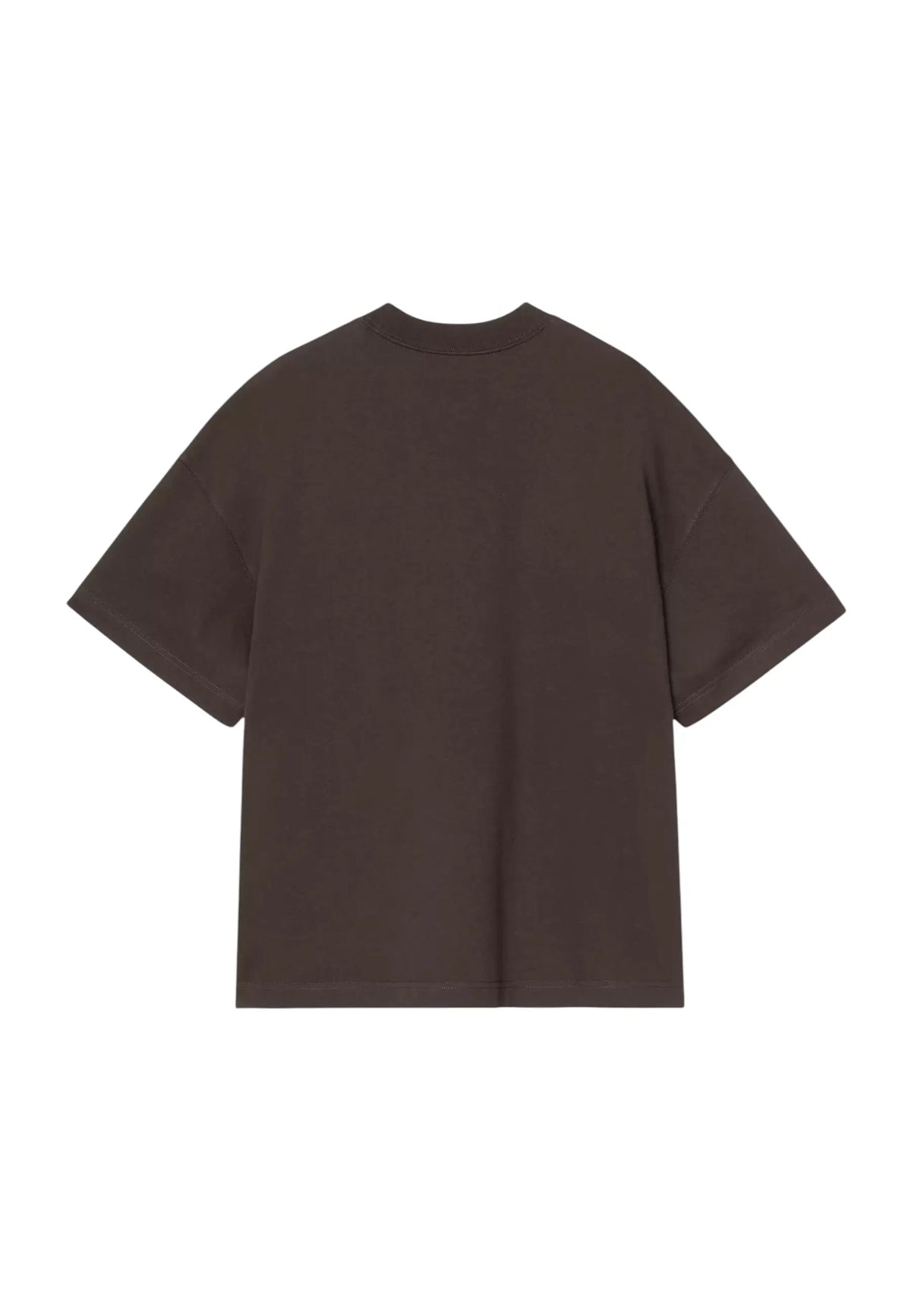 Carhartt Wip S/S Chapter Script T-Shirt boxy fit con ricamo - Tobacco / White