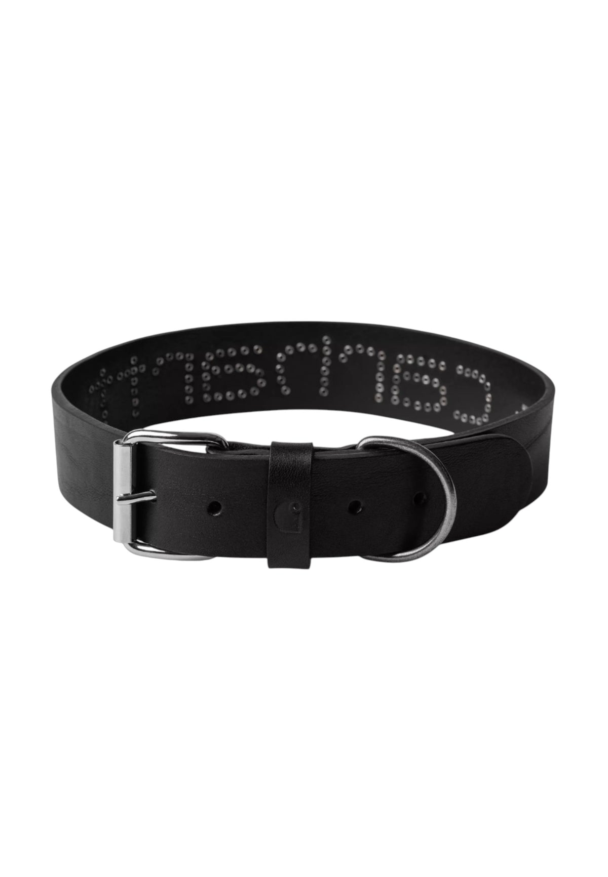 Carhartt Wip Script Studs Dog Collare con borchie per cani - Black